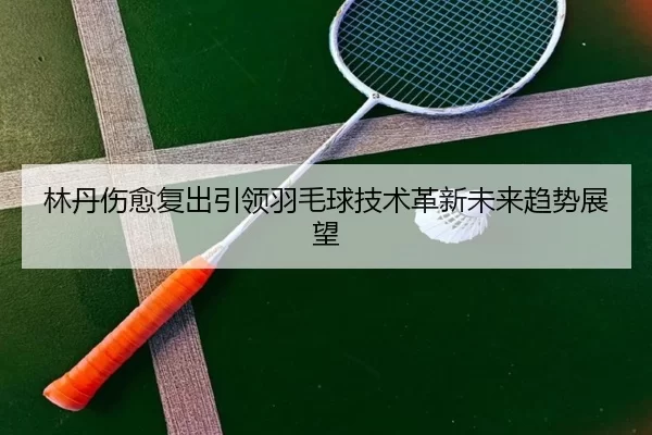 林丹伤愈复出引领羽毛球技术革新未来趋势展望