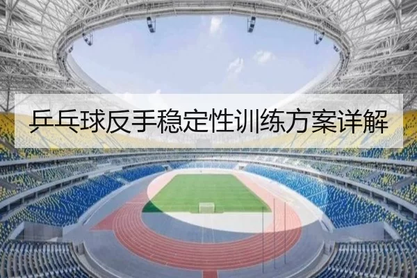 乒乓球反手稳定性训练方案详解